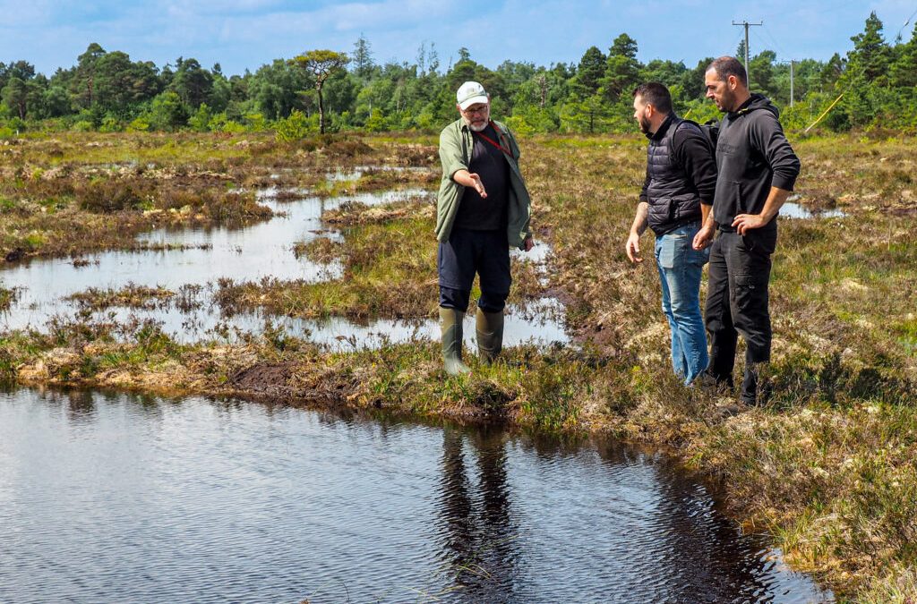 Community-Led Bog Restoration at Clonbeale More