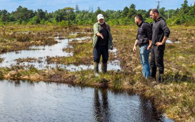 Community-Led Bog Restoration at Clonbeale More