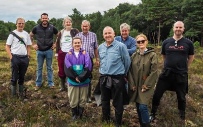 Offaly Bog Restoration Project Shows Strong Early Results