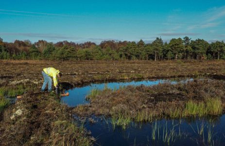Peat restoration contractor, Brian Gorman checking the recently installed weir on Clonbeale More Bog